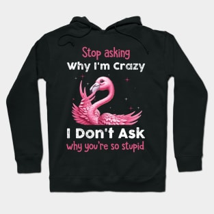 Pink Flamingo Stop Asking Why I'm Crazy I Don't Ask Why You're Stupid Hoodie